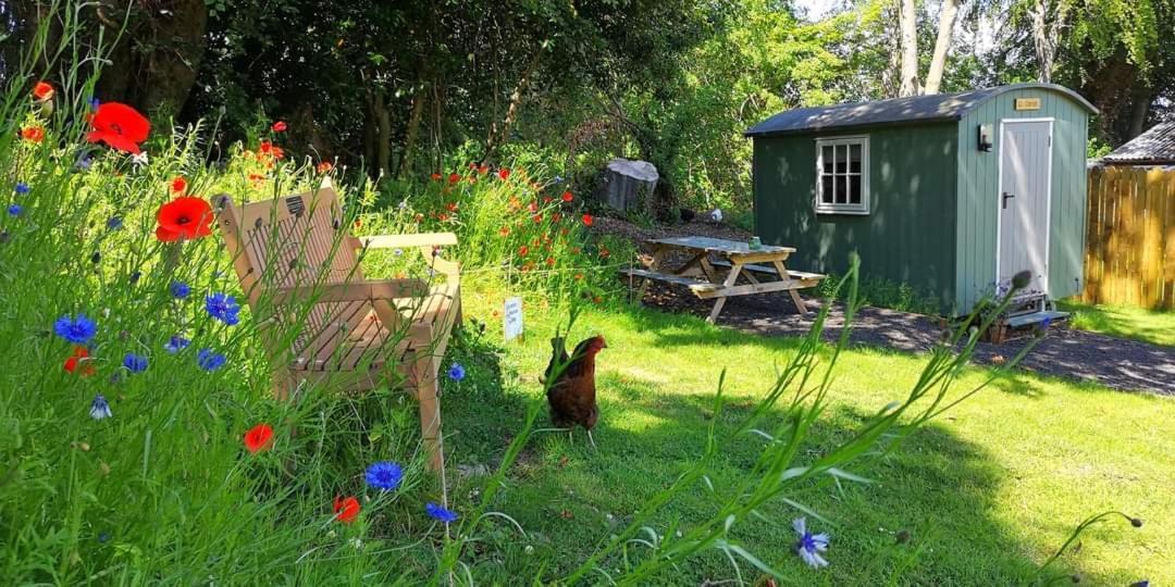 Wooler Hostel And Shepherds Huts Extérieur photo